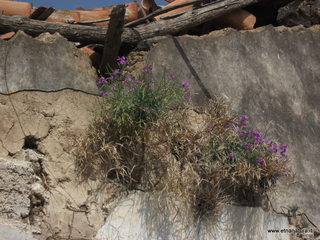lla Calanna07-04-2013 09-14-48